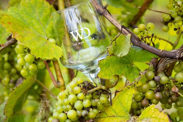 The Wine Dealer Wine Glass - Image 4
