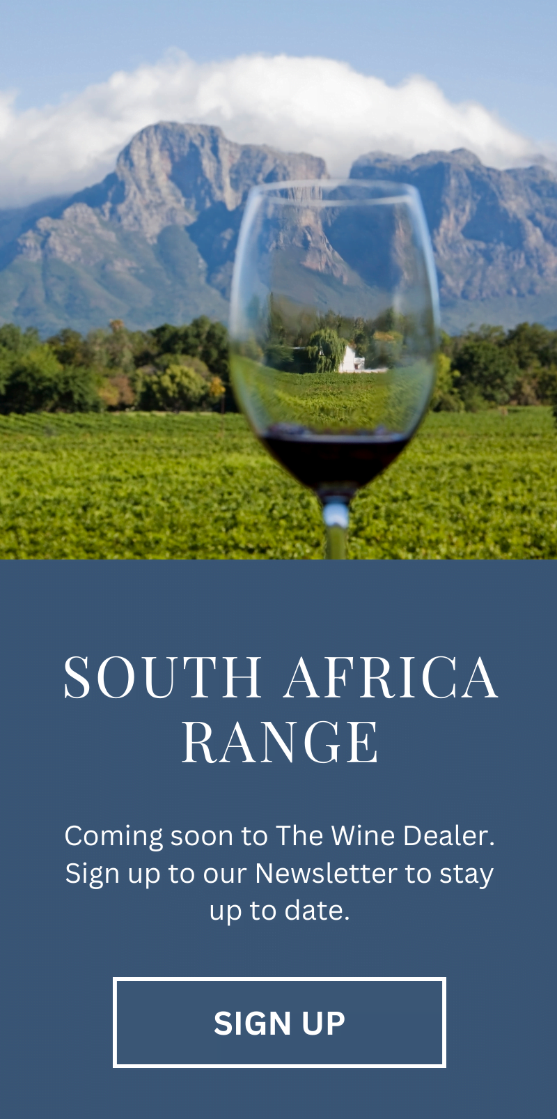 Image of South African Wine