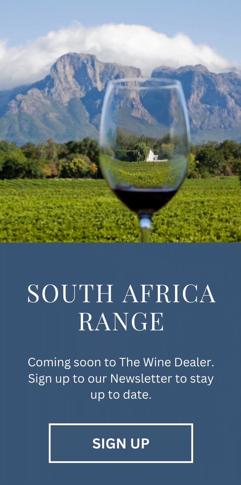 Image of South African Wine